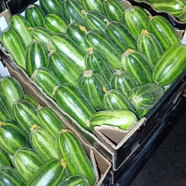 Caroselli rigati nei cartoni