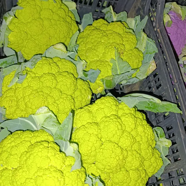 Cavolfiori verdi nelle casse