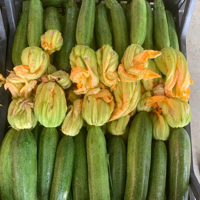 Zucchine e fiori di zucca in cassa